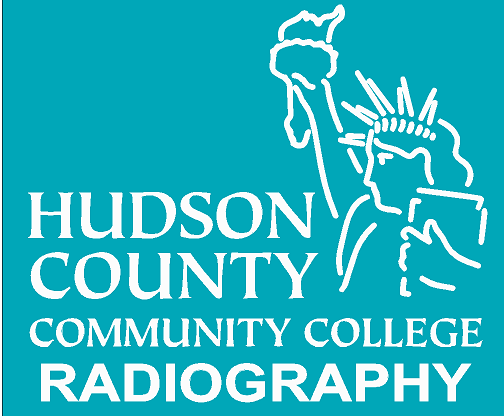 Male V-Neck Top W/ Embroidered Logo (Radiography Program) - Jay's Uniform